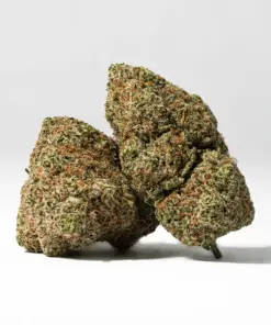 Peyote Cookies (AAAA)