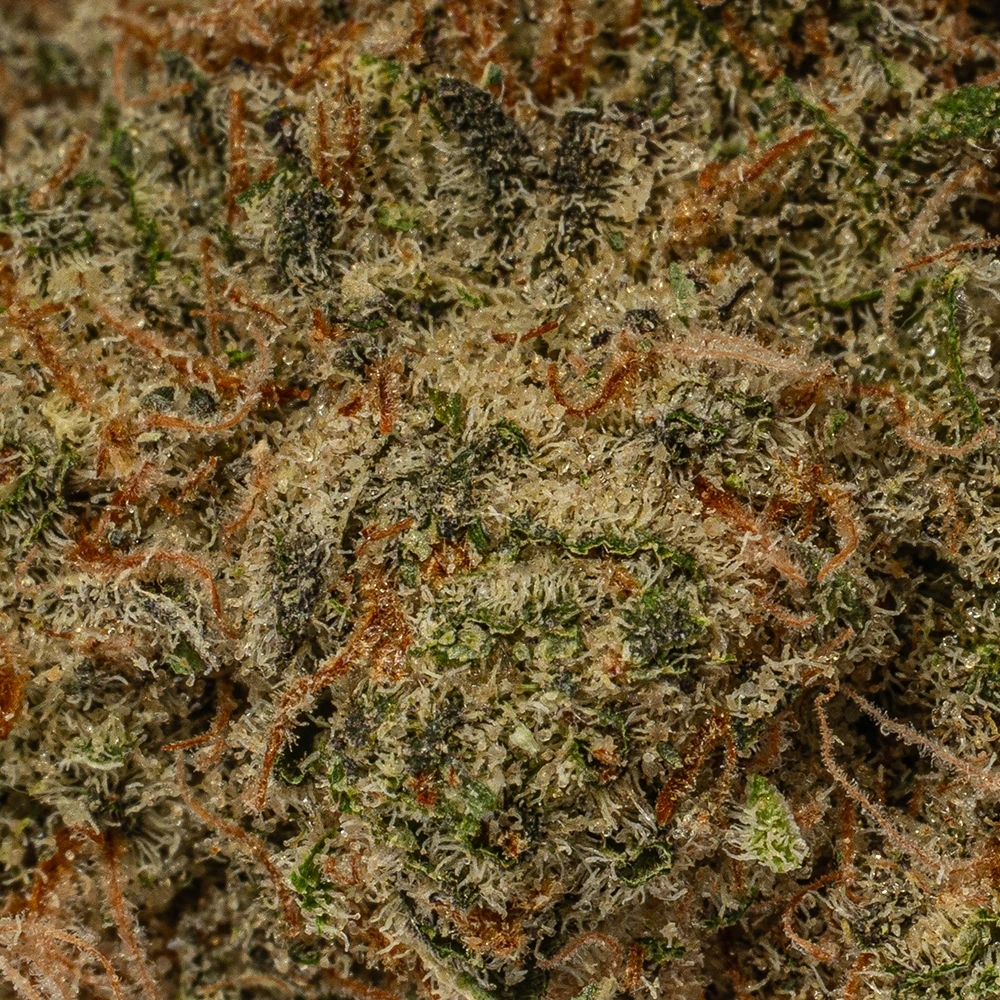 Peyote Cookies (AAAA) Peyote Cookies (AAAA)