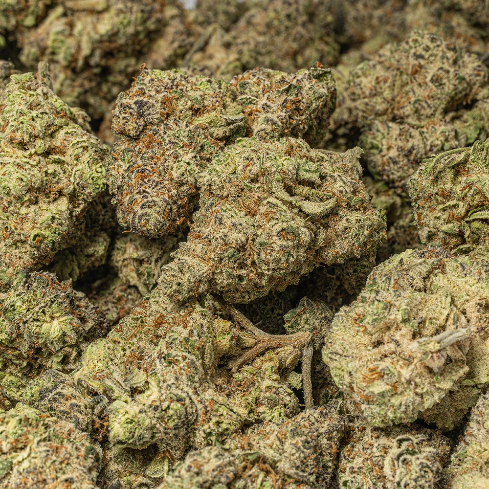 Poison Fruit (AAA+) Poison Fruit (AAA+)