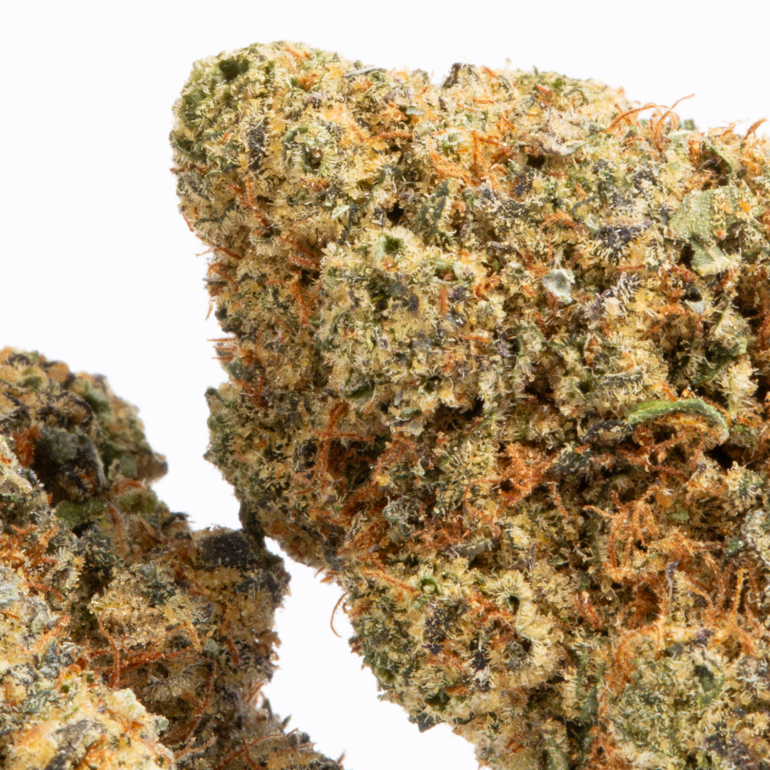 Pink Monet (AAAA) Pink Monet (AAAA)