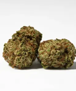 (Smalls) Raspberry Parfait (AA)