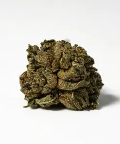 (Smalls) Red Octane (AA)