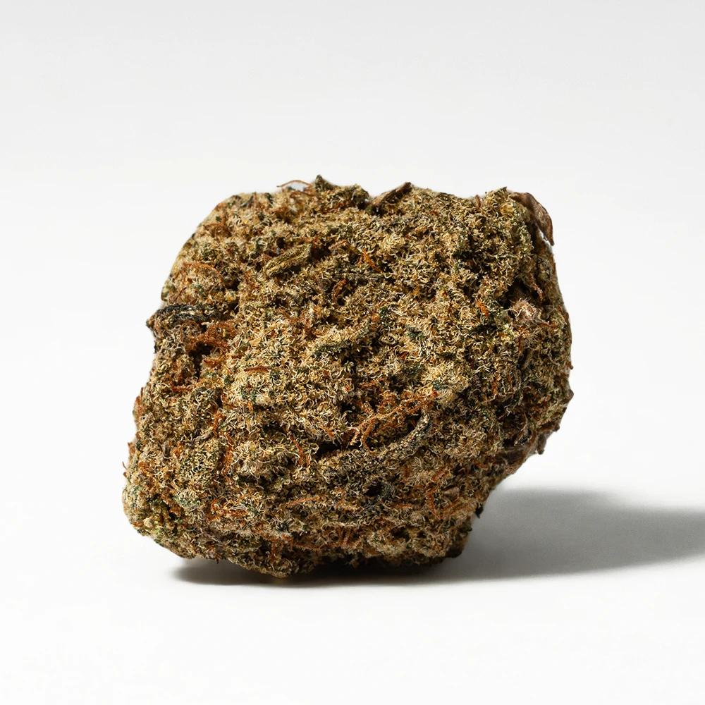 Sweet Tooth (AA) Sweet Tooth (AA)