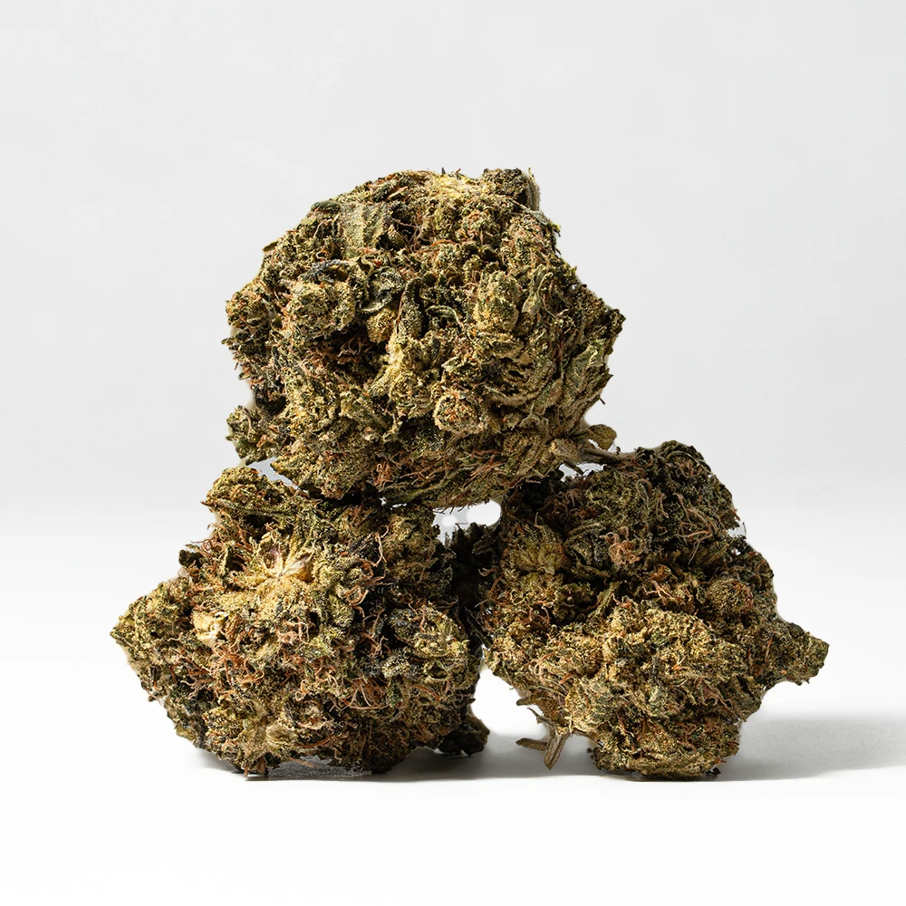 White Death (AAA) White Death (AAA)