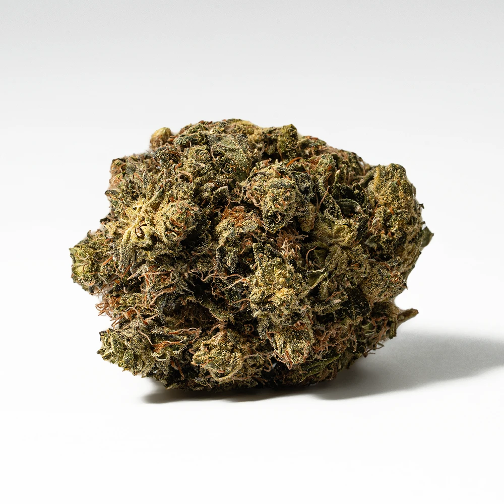 White Death (AAA) White Death (AAA)