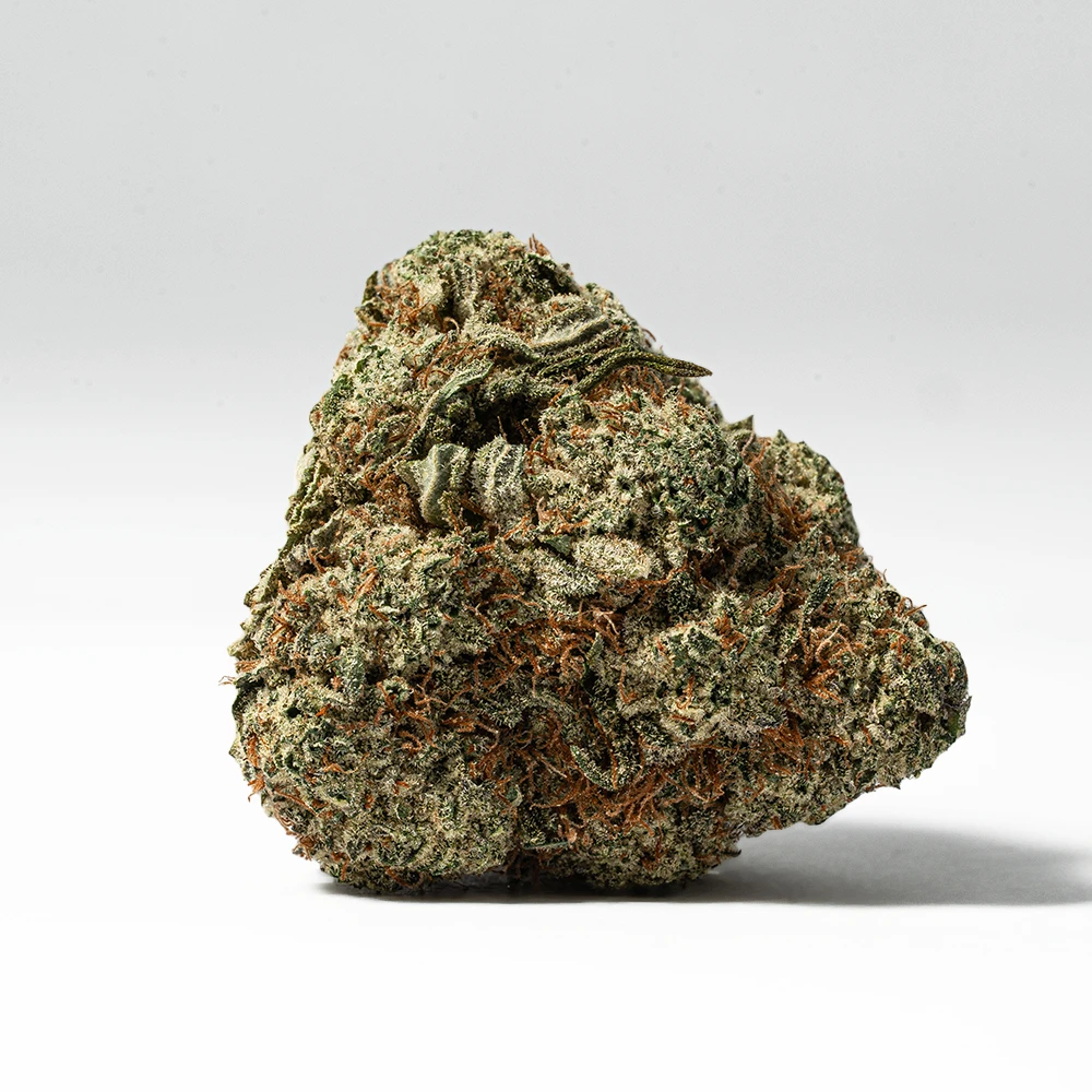 White Thunder (AAA+) White Thunder (AAA+)