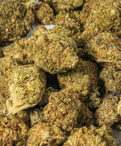 Strawberry AA (Promo) Strawberry AA (Promo)