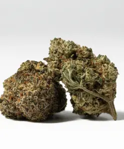 Waffle Cone (AAA+) Waffle Cone (AAA+)