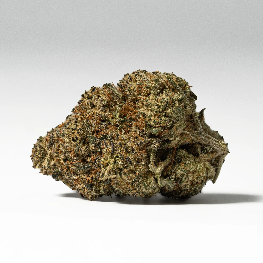 Waffle Cone (AAA+) Waffle Cone (AAA+)