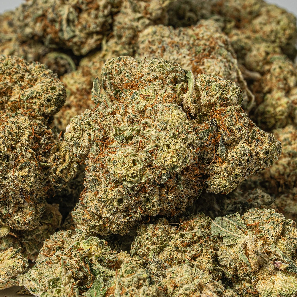 Waffle Cone (AAA+) Waffle Cone (AAA+)