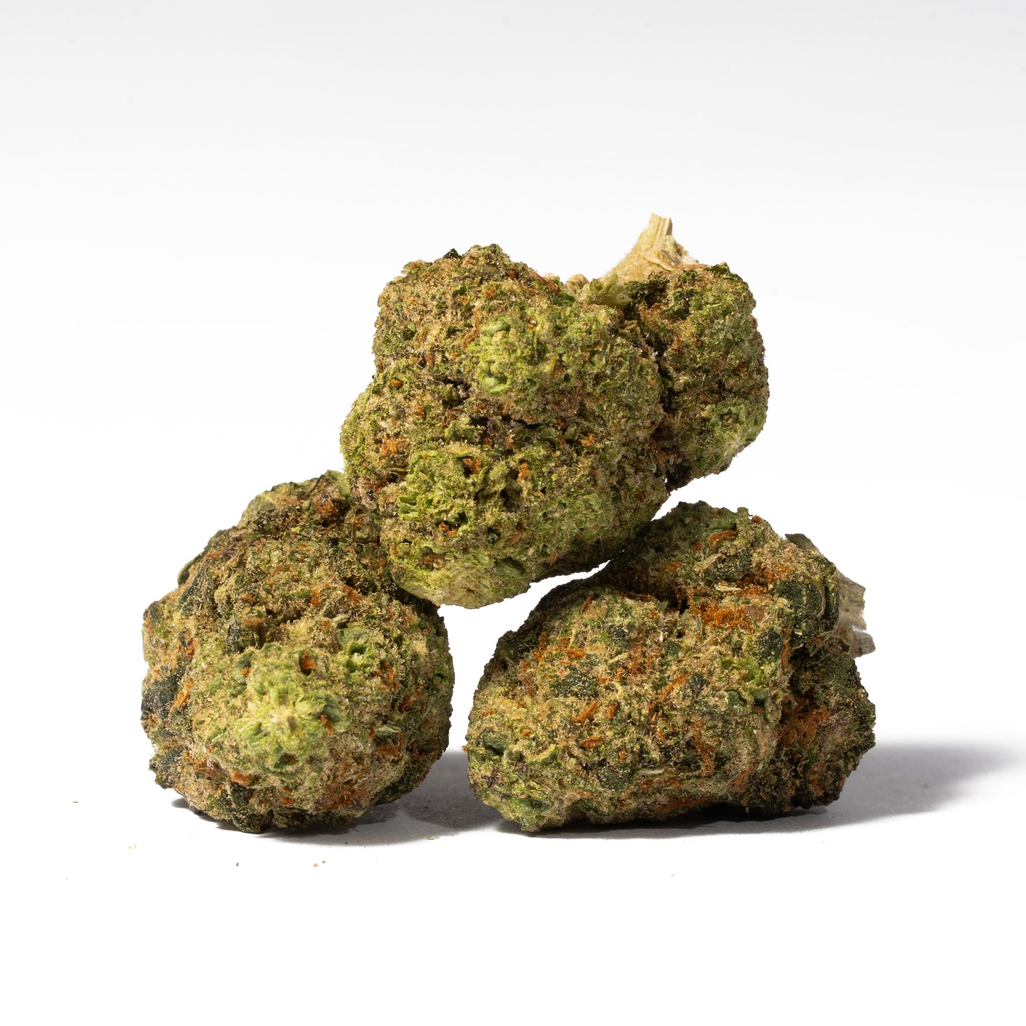 Apple Fritter (AA) Apple Fritter (AA)