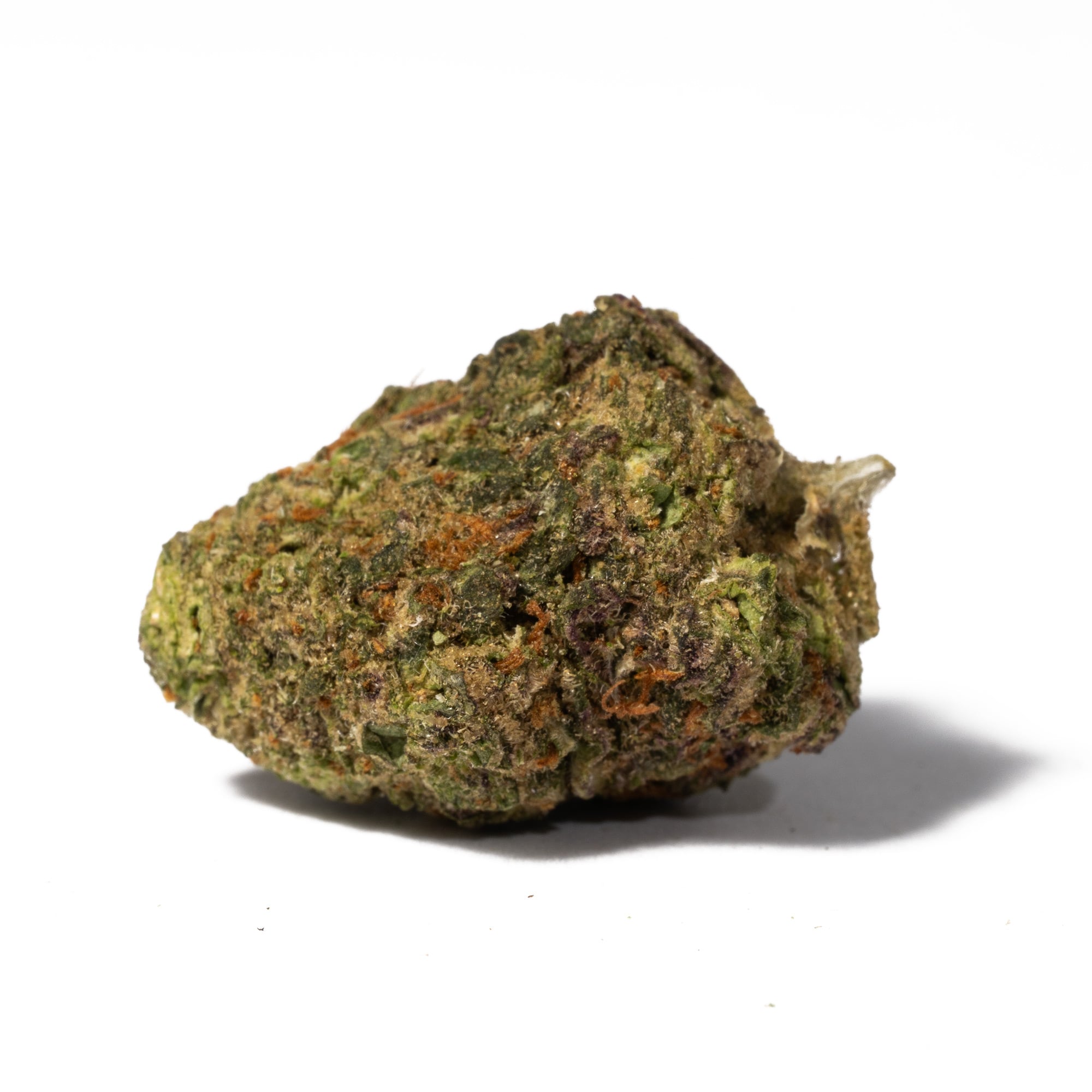 Apple Fritter (AA) Apple Fritter (AA)