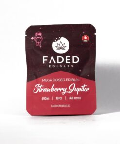 Faded Mega Dosed Astros - Strawberry Jupiter (600mg)