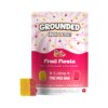 Grounded High Dose Bricks - Fruit Fiesta 1500mg Grounded High Dose Bricks - Fruit Fiesta 1500mg