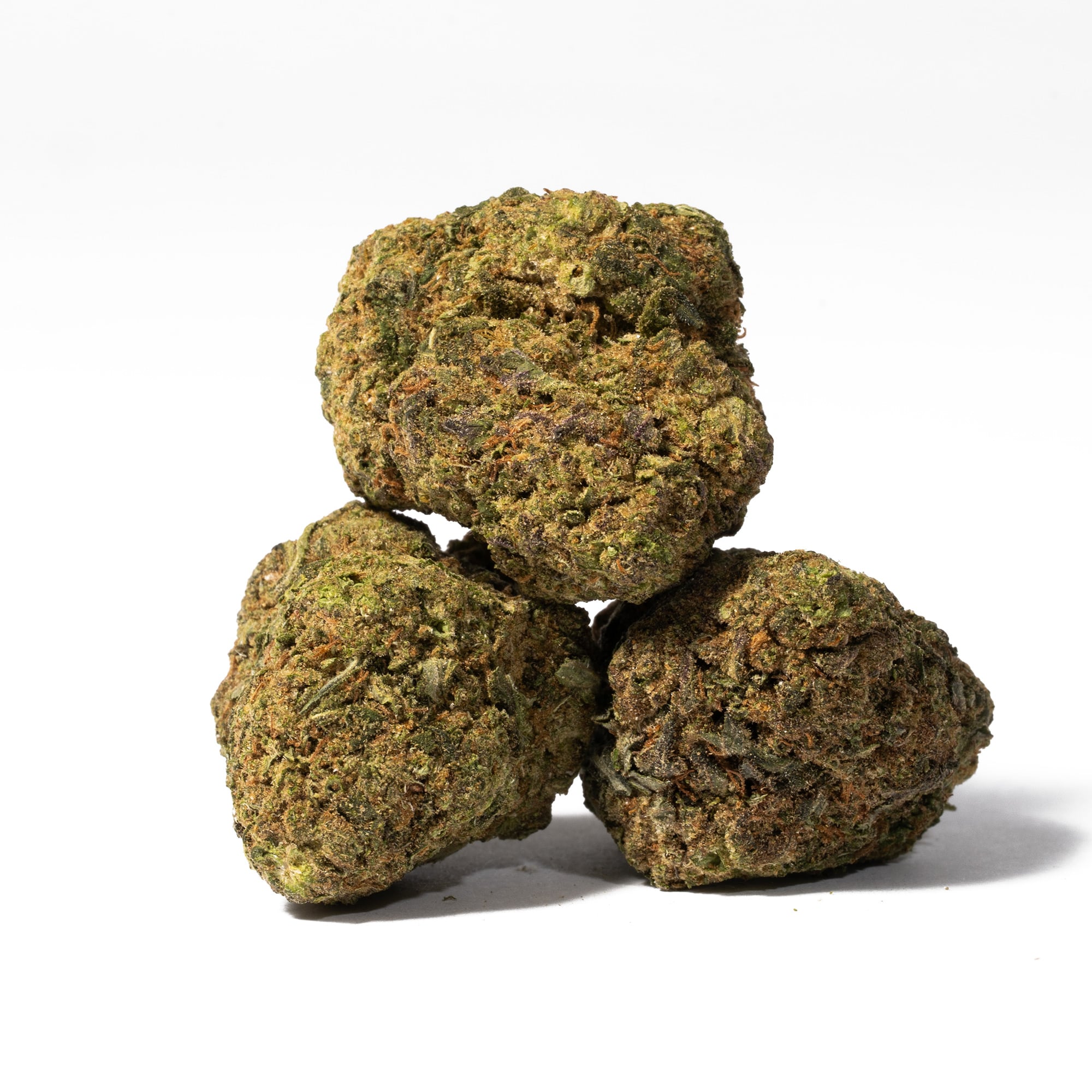 Purple Rain (AA) Purple Rain (AA)