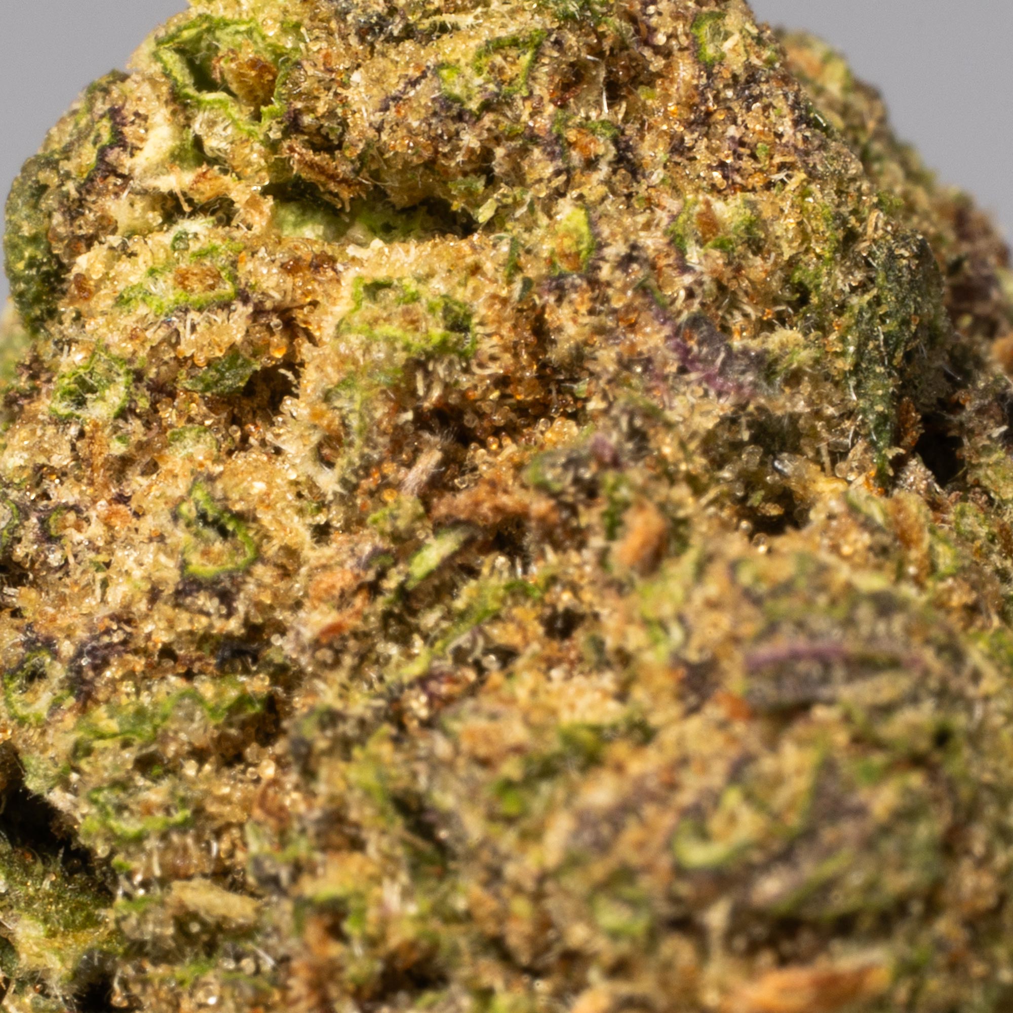 Purple Rain (AA) Purple Rain (AA)