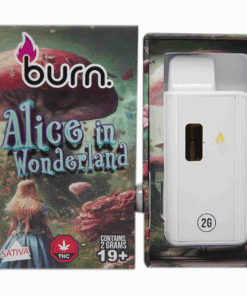 Burn Disposable Vape (2g) - Alice in Wonderland (Hybrid) Burn Disposable Vape (2g) - Alice in Wonderland (Hybrid)