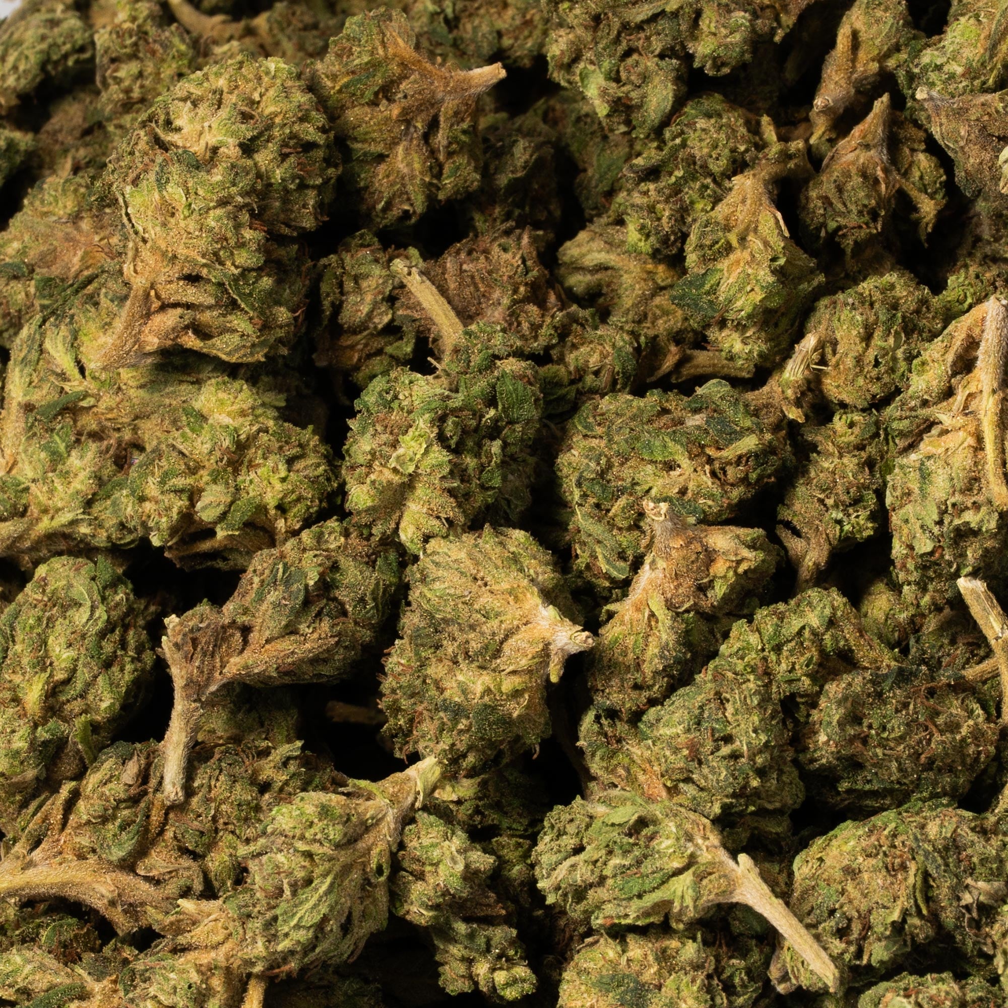 Bruce Banner (AA) Bruce Banner (AA)