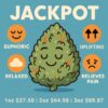 Jackpot (Promo)