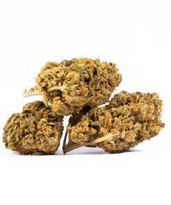 Love Potion #1 AA (Promo)