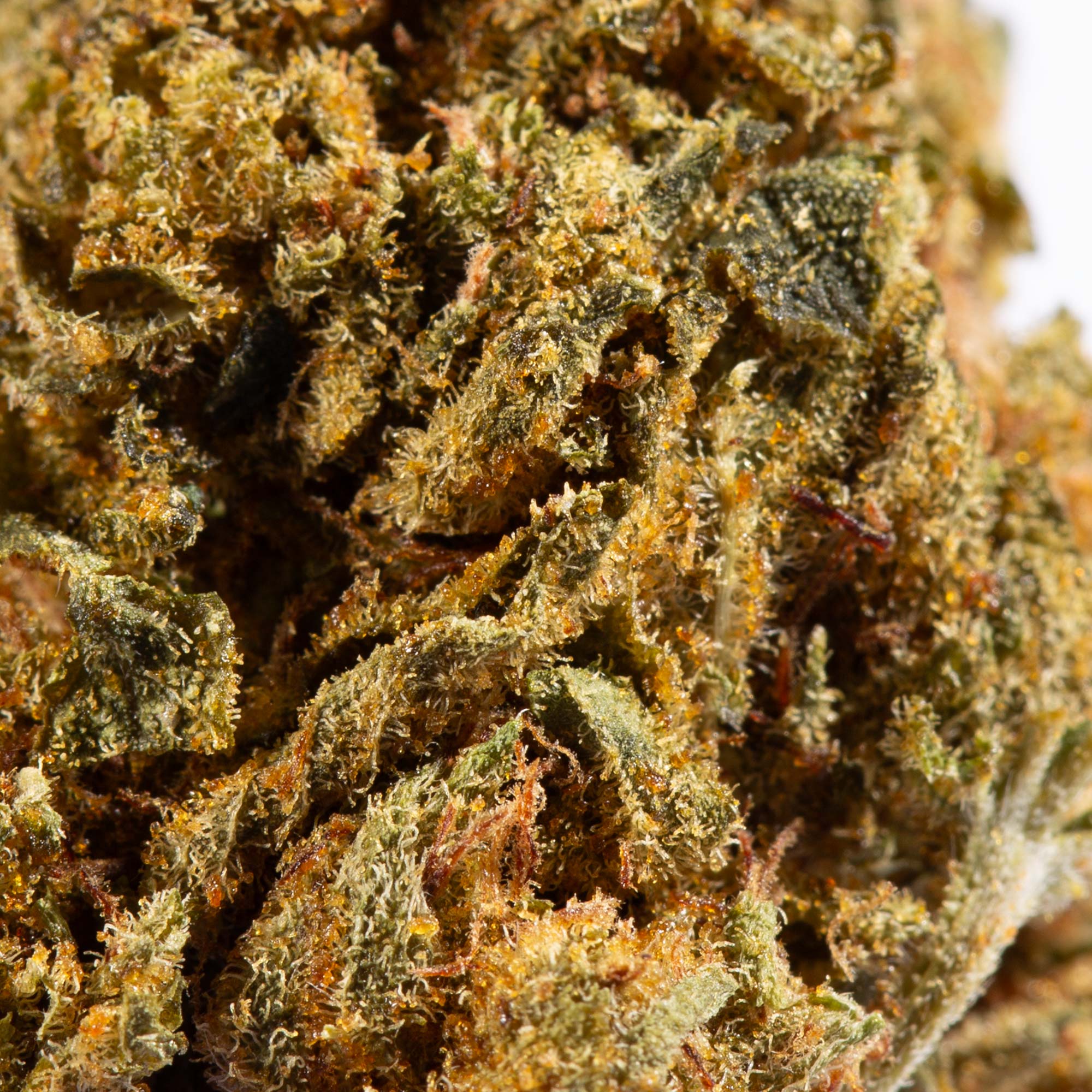 Love Potion #1 AA (Promo) Love Potion #1 AA (Promo)