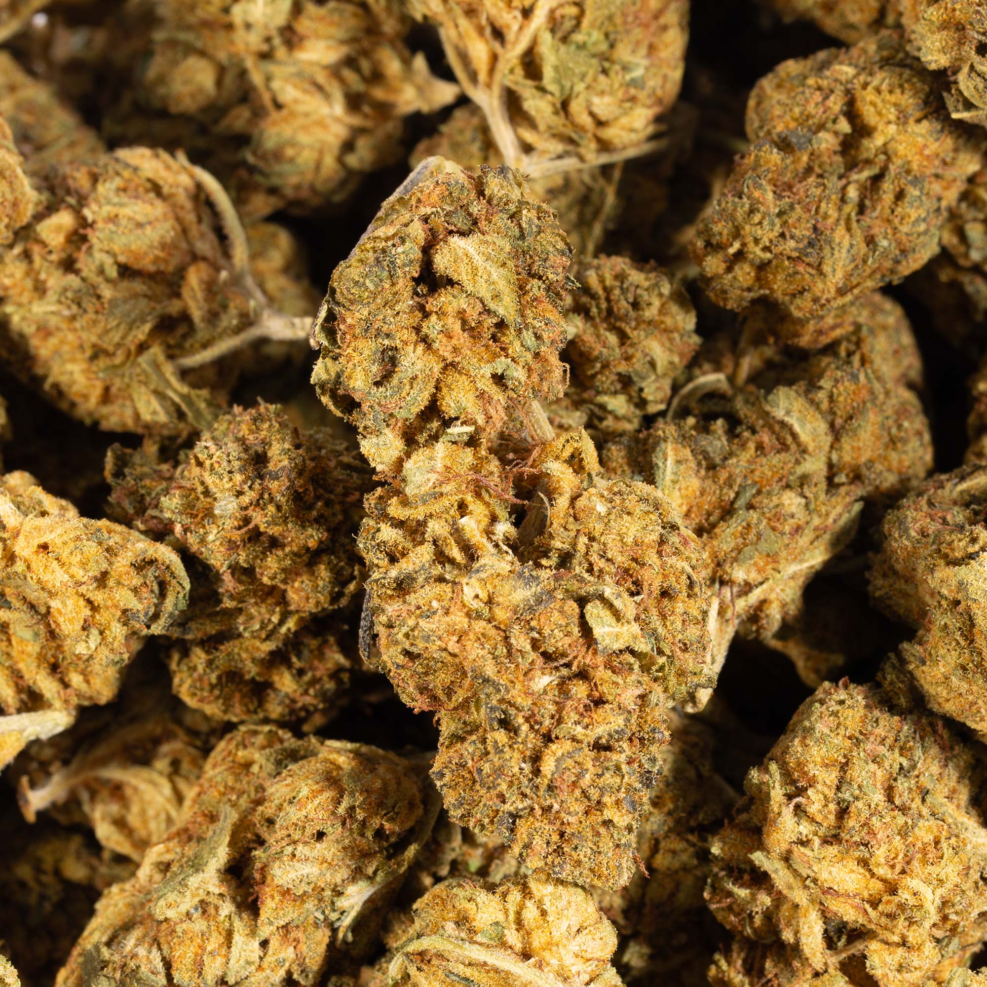 Love Potion #1 AA (Promo) Love Potion #1 AA (Promo)