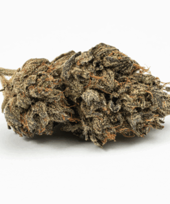 Purple Picasso (AA+)