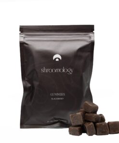 Shroomology Mid-Dose Gummies - Blackberry