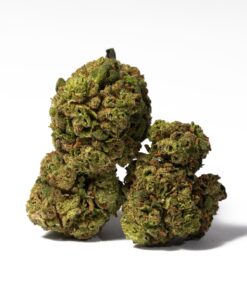 Strawberry AA (Promo)