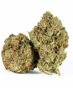 Georgia Pine (AA+) Georgia Pine (AA+)