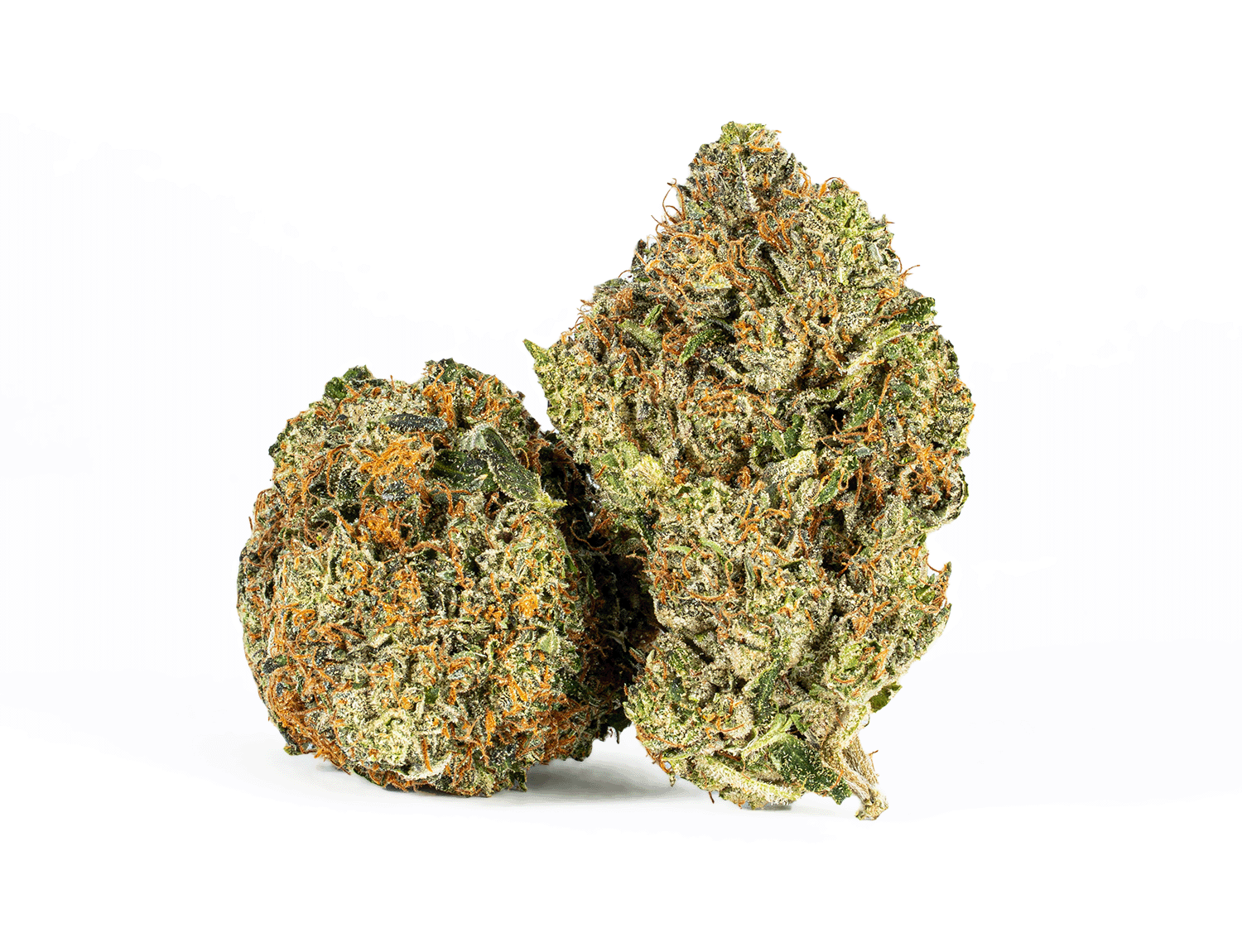 Georgia Pine (AA+) Georgia Pine (AA+)