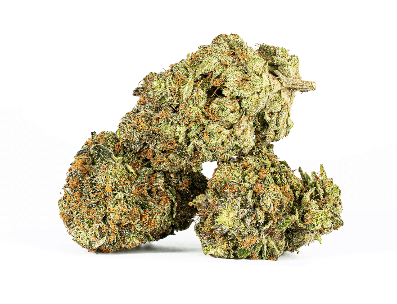 Georgia Pine (AA+) Georgia Pine (AA+)