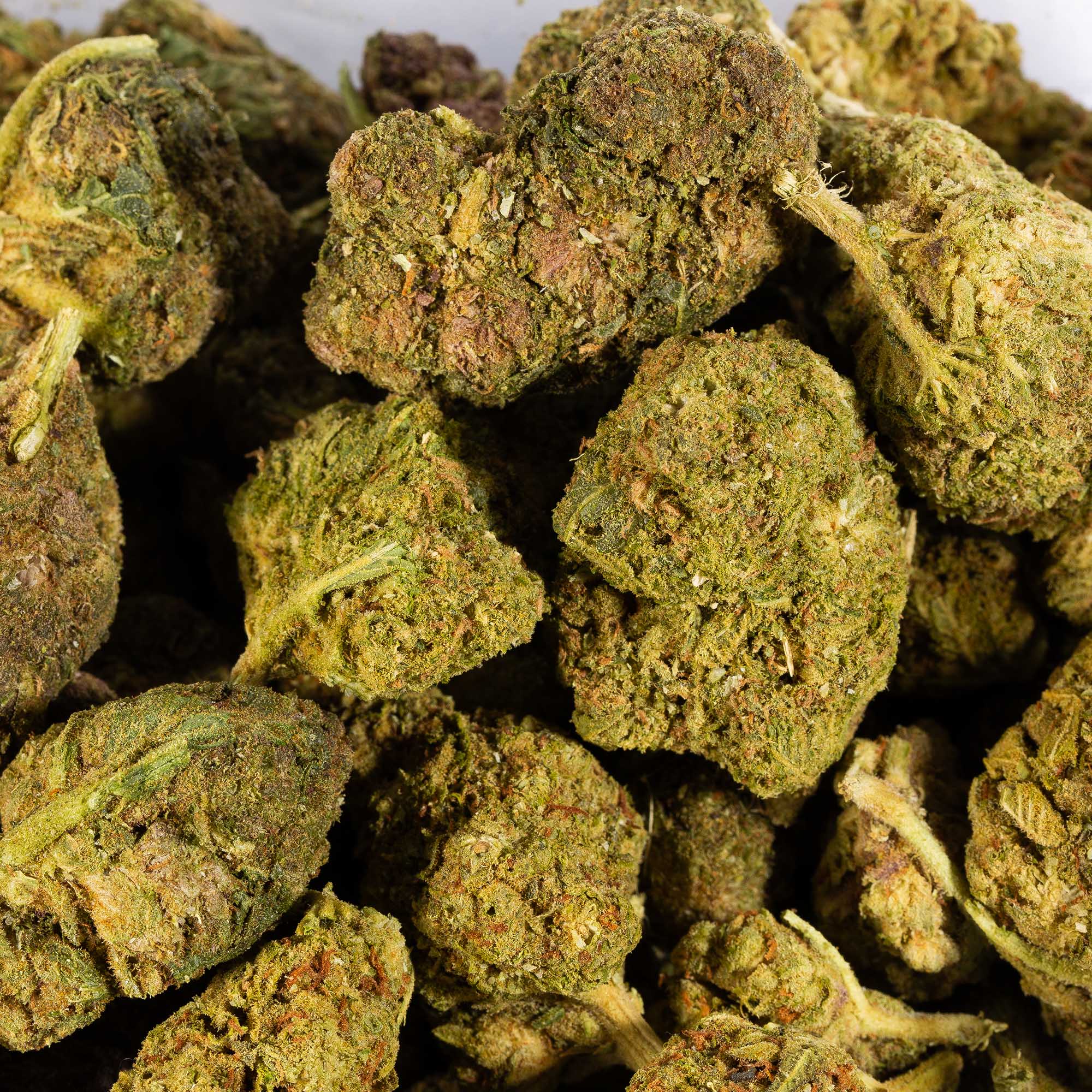 Mango Tango (A) Mango Tango (A)