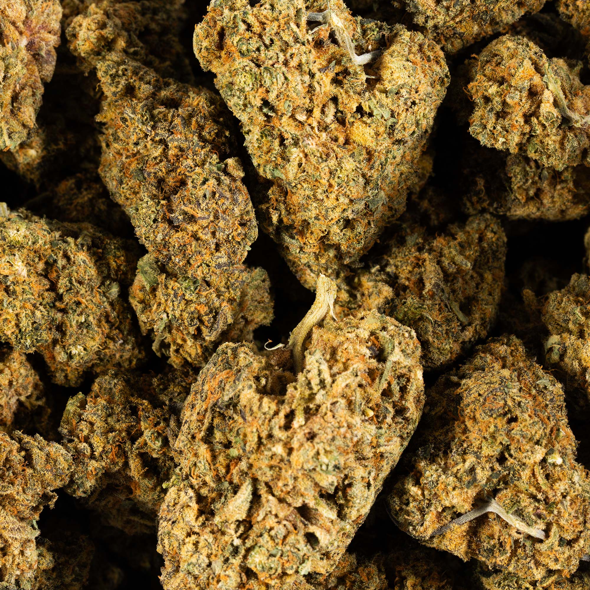 Orange Mints (AA+) Orange Mints (AA+)