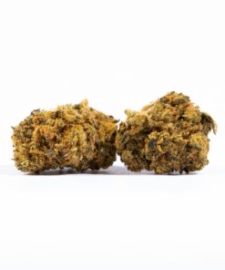 Red Velvet Smalls (AA) Red Velvet Smalls (AA)