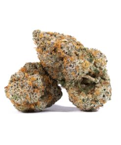 Slurricane (AAAA) Slurricane (AAAA)