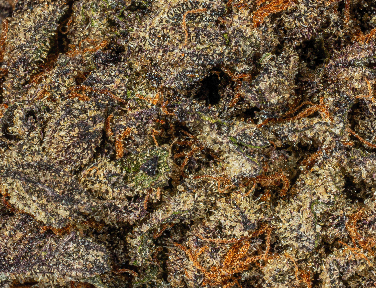 Sticky Grapes (A) Sticky Grapes (A)