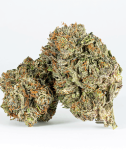 Double Purple Afgooey (AAA+)