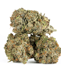 Double Purple Afgooey (AAA+)