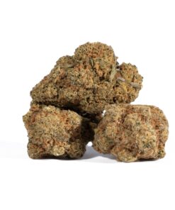 Afghan Hawaiian (AA)