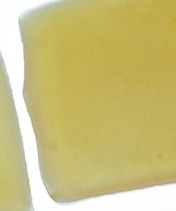 House Shatter - Animal Face (Sativa) House Shatter - Animal Face (Sativa)