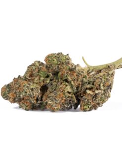 Animal Cookies (AAA)