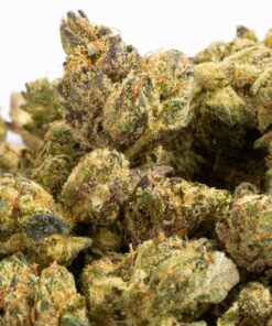 Bakerstreet Smalls (AA)