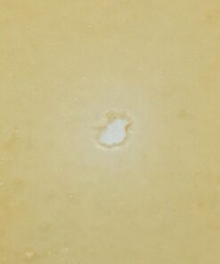 House Shatter - Candyland (Sativa)