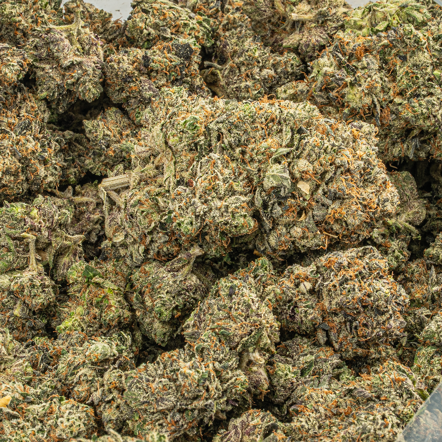 Pink Death Star (AAA) Pink Death Star (AAA)