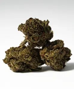 El Chapo Smalls (AA)