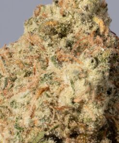 Jack Herer (AA+)