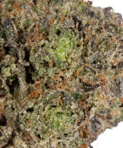 Pink Rockstar (AAA+)