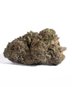 Pacific Frost (AAA+)