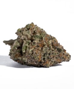 Champagne Kush (AAA+)